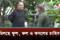 টেকসই নগর গড়তে প্রয়োজন ছাদকৃষি