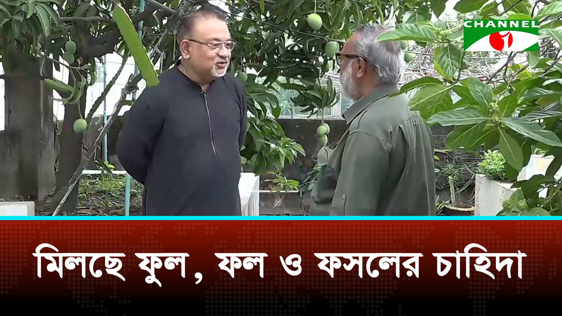 টেকসই নগর গড়তে প্রয়োজন ছাদকৃষি