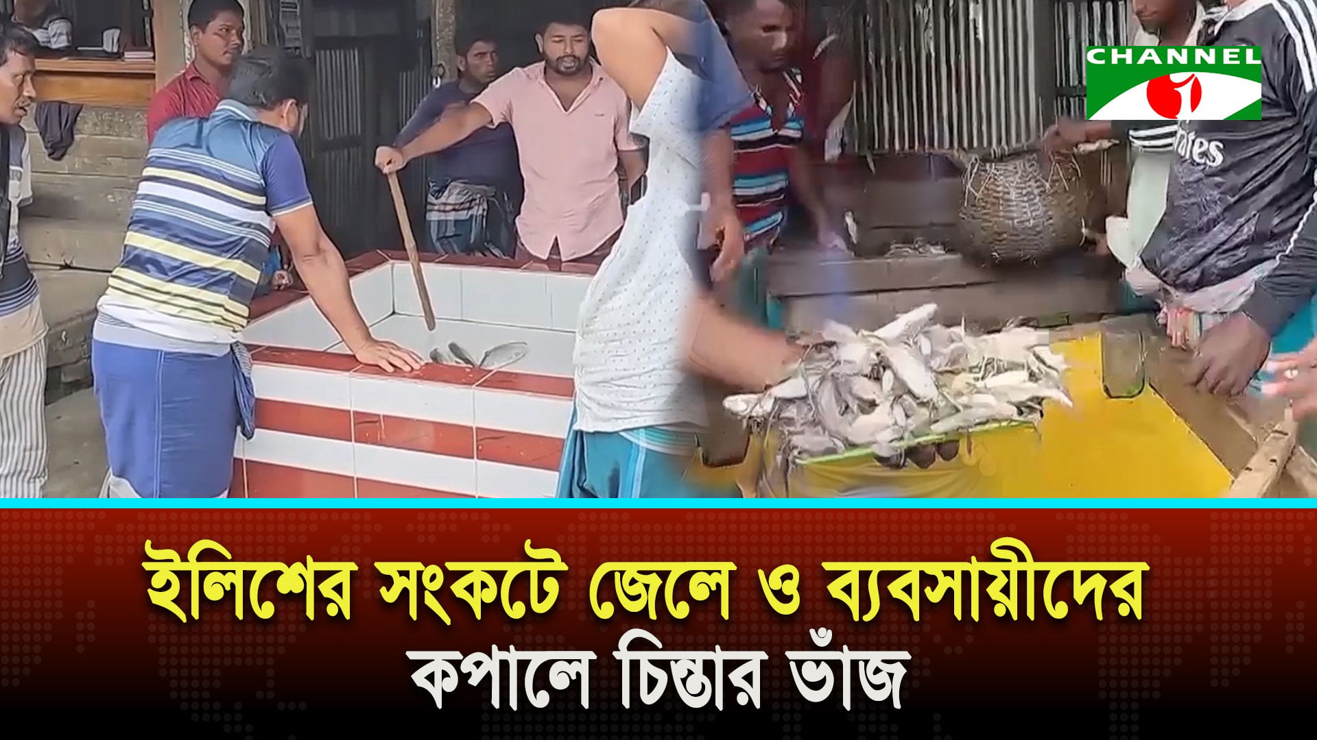 ভোলার মেঘনা-তেঁতুলিয়া নদীতে এখনো মিলছে না রুপালি ইলিশ