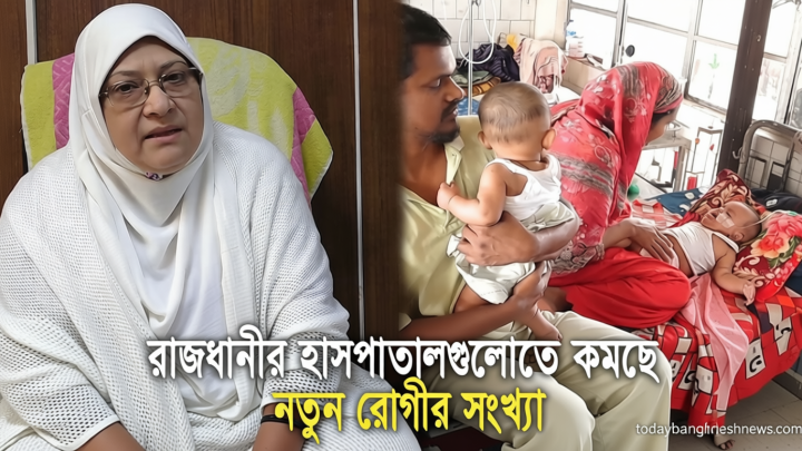 হামে আক্রান্ত গর্ভবতীর ভ্রুণের ক্ষতি নিয়ে স্বাস্থ্য বিশেষজ্ঞদের শঙ্কা