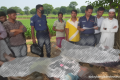 সিএনজি-ড্রাম ট্রাকের মুখোমুখি সংঘর্ষে নিহত ২