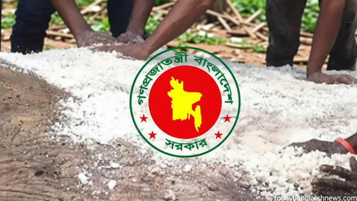 কোরবানীর চামড়া সংরক্ষণে বিনামূল্যে লবণ ও বিশেষ ঋণ সুবিধা দেবে সরকার
