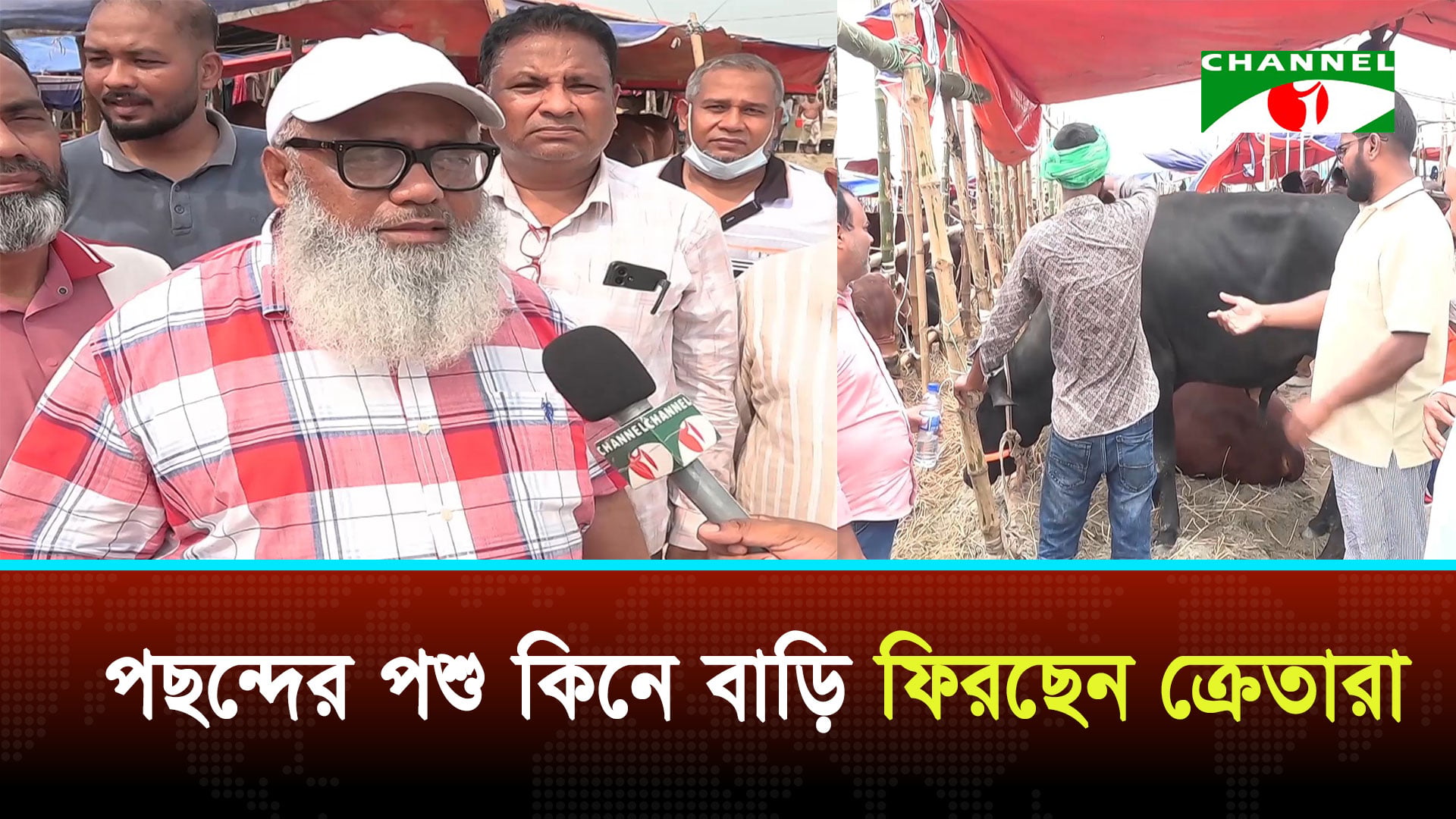 রাজধানীতে জমতে শুরু করেছে কোরবানির পশুর হাট