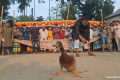হাঁস ধরা-হাঁড়ি ভাঙা: ঈদের আনন্দে লোকজ খেলায় মেতেছে কিশোরগঞ্জ
