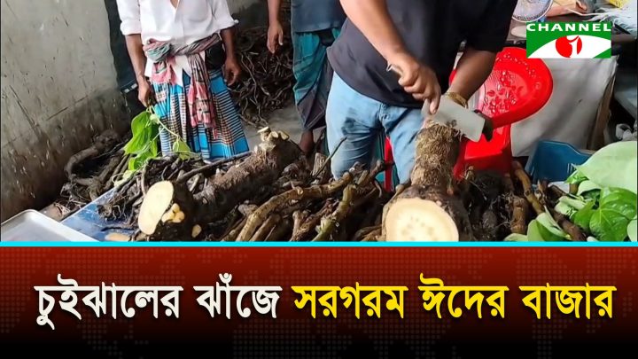 বাগেরহাটে চুইঝালের ঝাঁজে সরগরম ঈদের বাজার