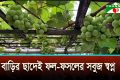 প্রবাসফেরত আলমগীরের সবুজ উদ্যোক্তা হয়ে ওঠার গল্প