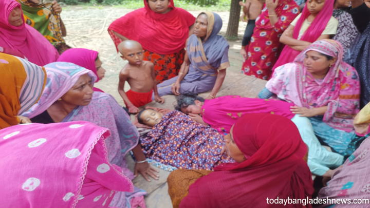 চুয়াডাঙ্গায় পুকুরের পানিতে ডুবে শিশুর মৃত্যু