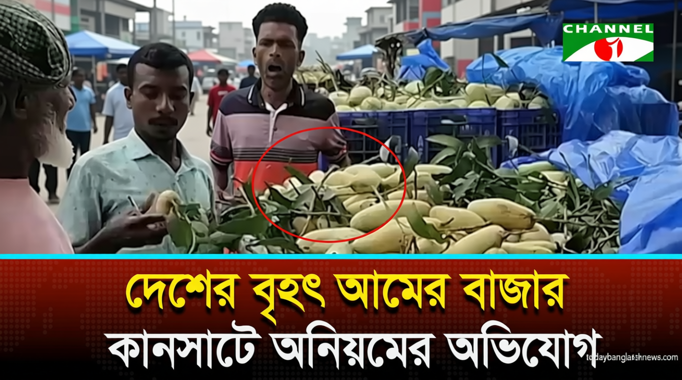 দেশের বৃহৎ আমের বাজার কানসাটে অনিয়মের অভিযোগ