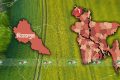 রাইস মিল মালিককে ‘রগ কেটে’ হত্যা, সাবেক স্ত্রী আটক