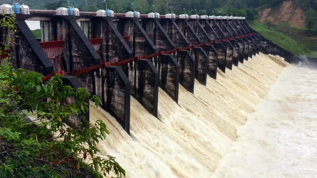 Kaptai-Biddut-cdf0dfe3a8023ee0c0ec0251d11cb99c