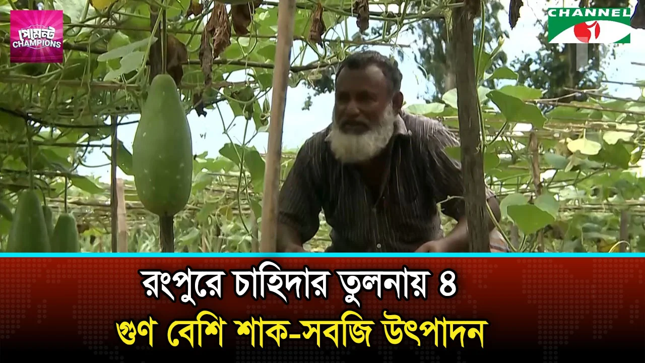 রংপুরে চাহিদার তুলনায় ৪ গুণ বেশি শাক-সবজি উৎপাদন