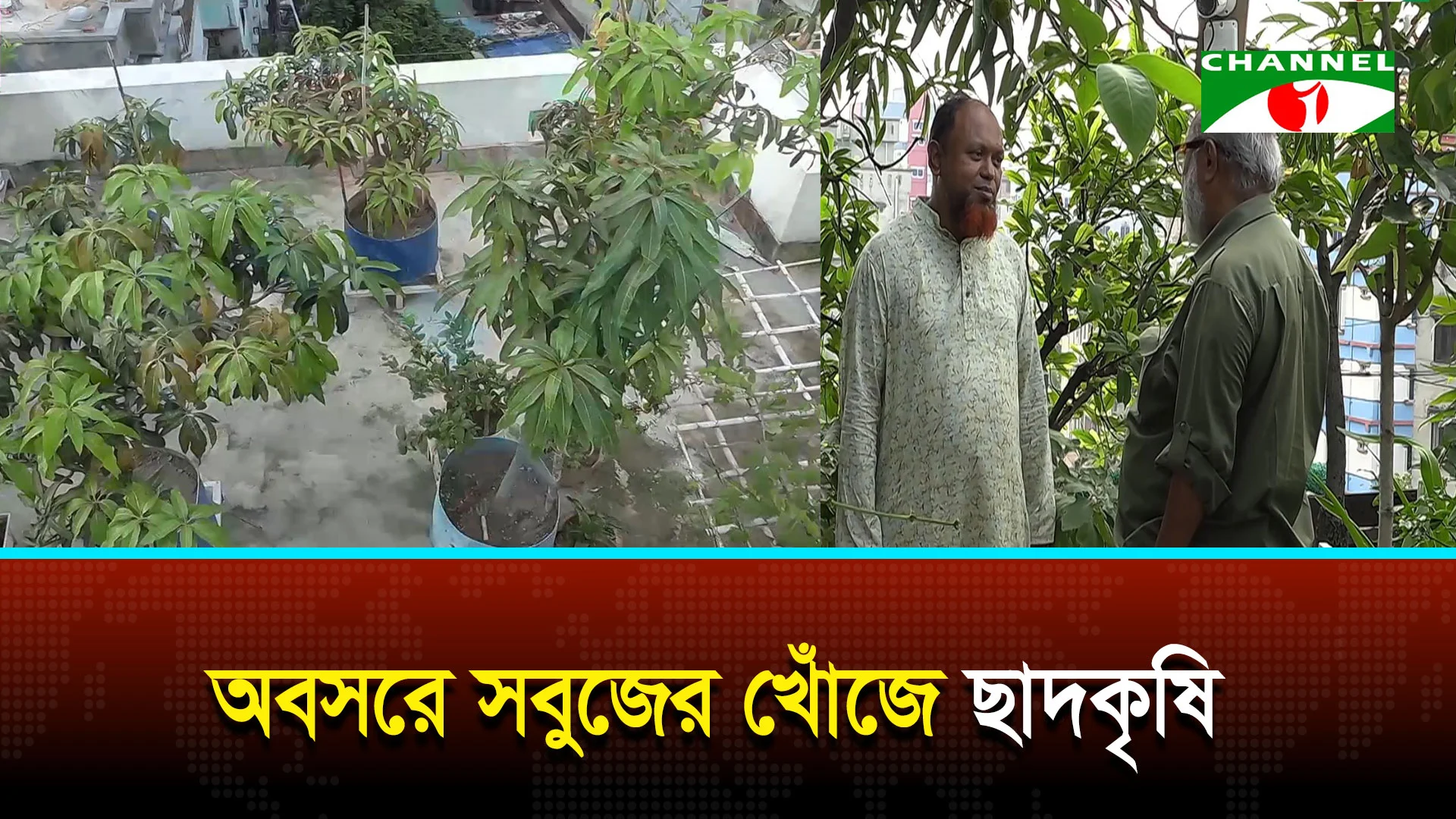 ছাদকৃষি হয়ে উঠছে মানসিক প্রশান্তির নির্ভরযোগ্য মাধ্যম