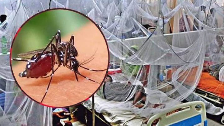 ডেঙ্গুতে আরও ২ জনের মৃত্যু, হাসপাতালে মোট ভর্তি ২৩ হাজার