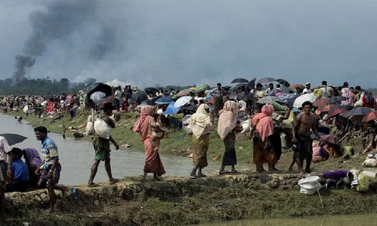 Rohingya