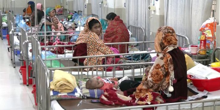 হামে মৃত্যু ৯০০ ছাড়িয়েছে, আরও ৮ জনের মৃত্যু